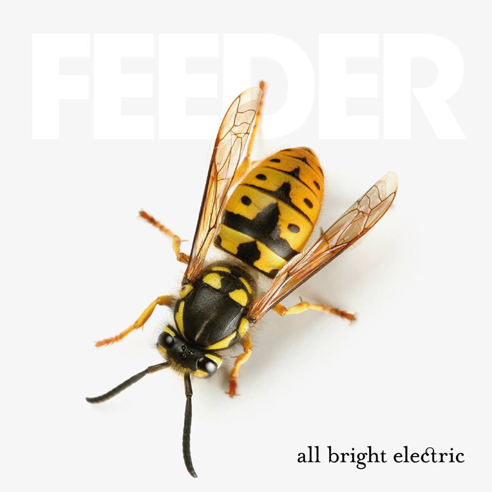 「feeder all bright electric 画像」の画像検索結果