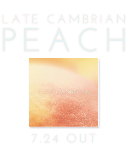 Late Cambrian / Peach 7.24 OUT